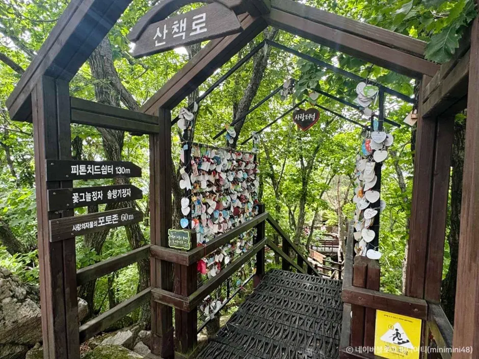 Daegu day trip or overnight? Decide by arrival time, not city size
