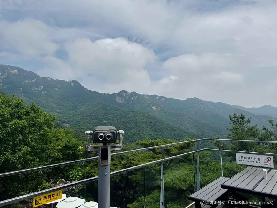 Daegu Donghwasa Temple Route Decision: Temple Heritage, Palgongsan Hike or A Quiet One-Day Base?