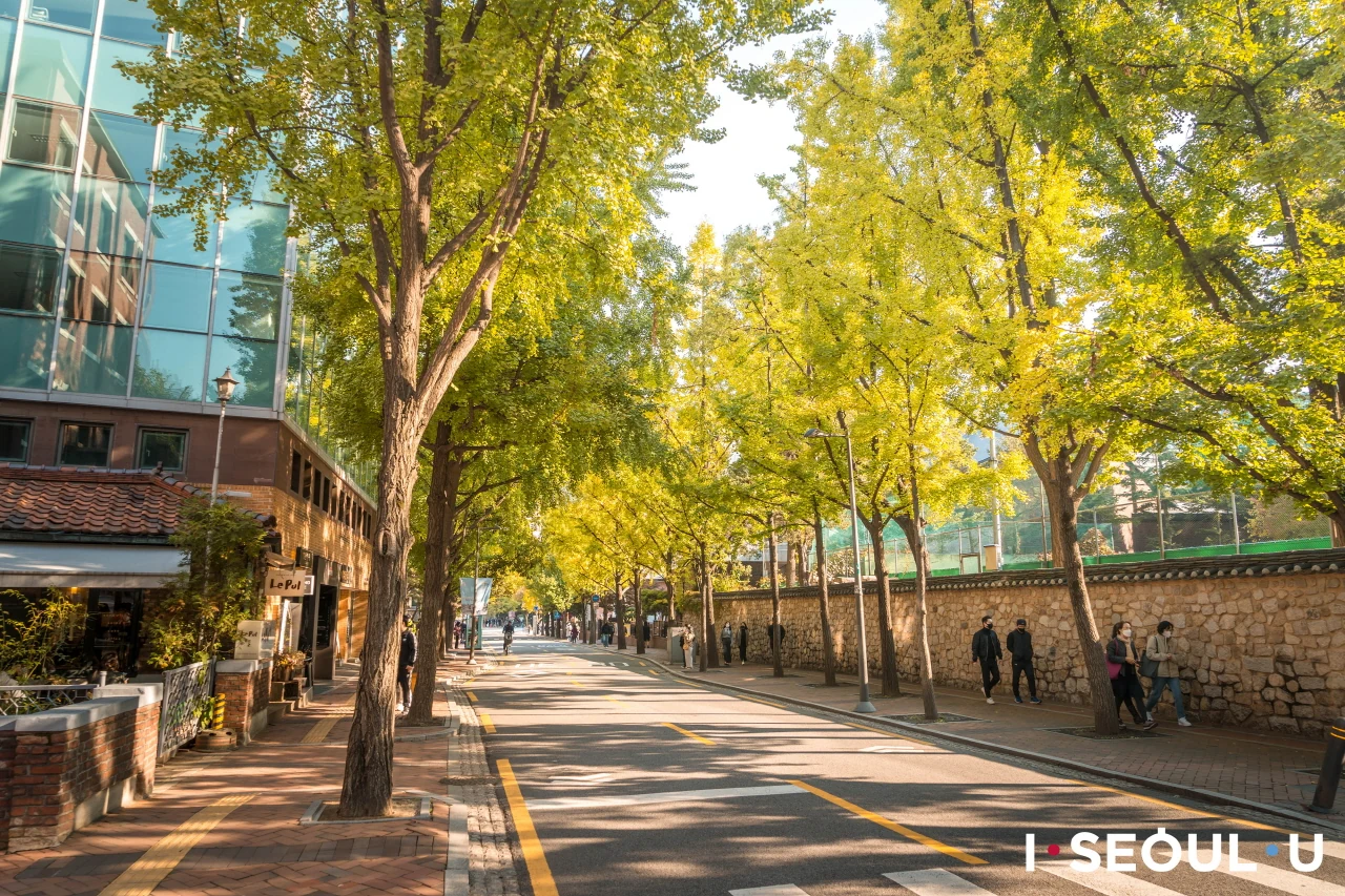 Where to stay in Seoul with parents? Choose the base they would happily return to twice in one day