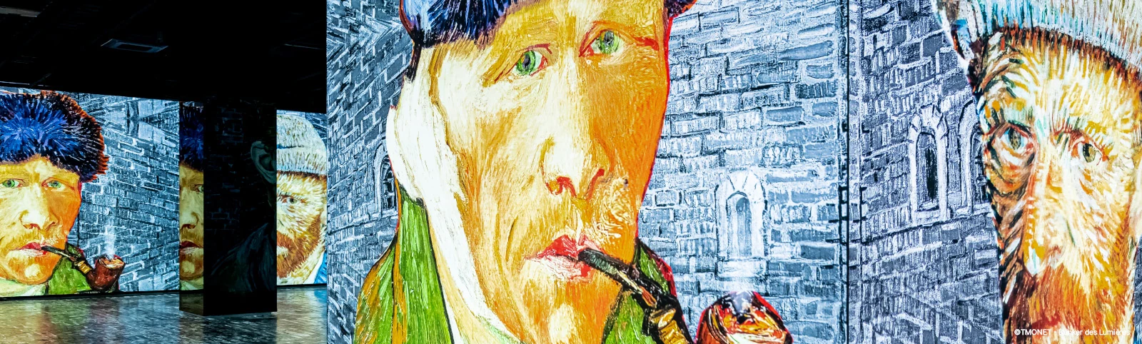 Official immersive scene from Bunker des Lumières 2026 Van Gogh Starry Night exhibition