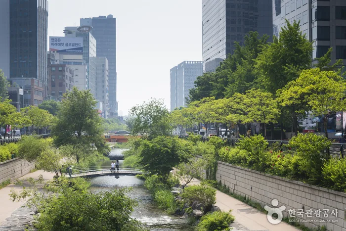 Seoul Hotels on Rainy Days: The Last Uncovered Stretch Is Often the Hardest Part