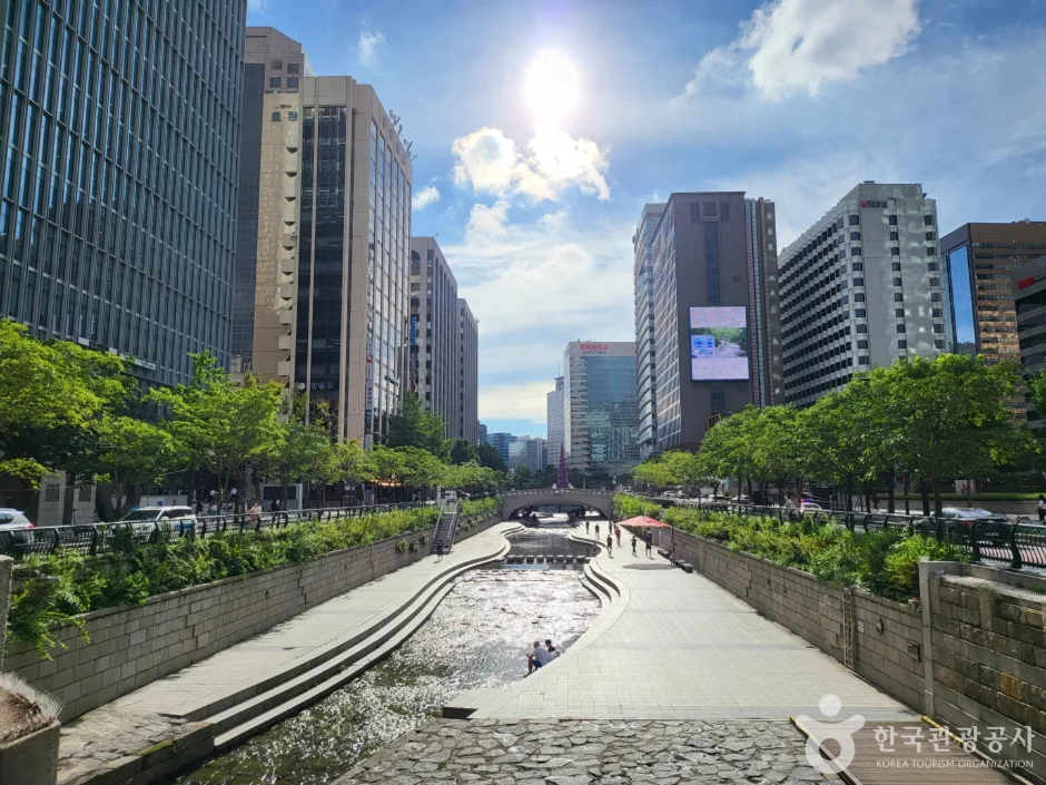 Is Seoul Cheonggyecheon Stream Worth Visiting? Walk One Useful Section, Not All 11 km