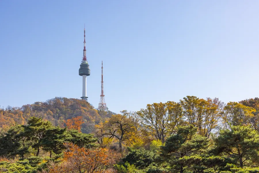 Is N Seoul Tower Worth It? Free Summit, Observatory, and Transport
