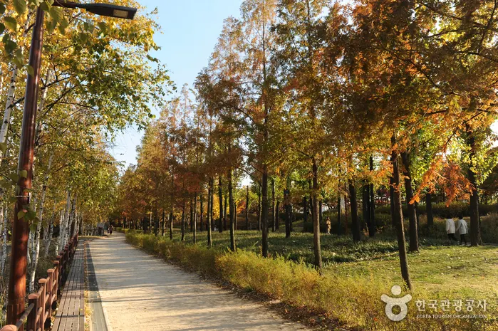Late Arrival at Incheon: Hongdae, Seoul Station or an Airport-Area First Night?
