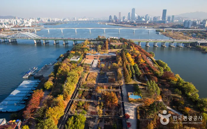 Is Seonyudo Park Worth Visiting? It Is Not Just Another Han River Park