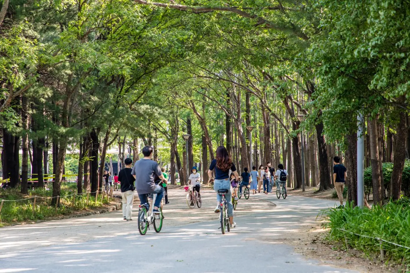 Seoul Hanok Week 2026: where to stay and how to plan