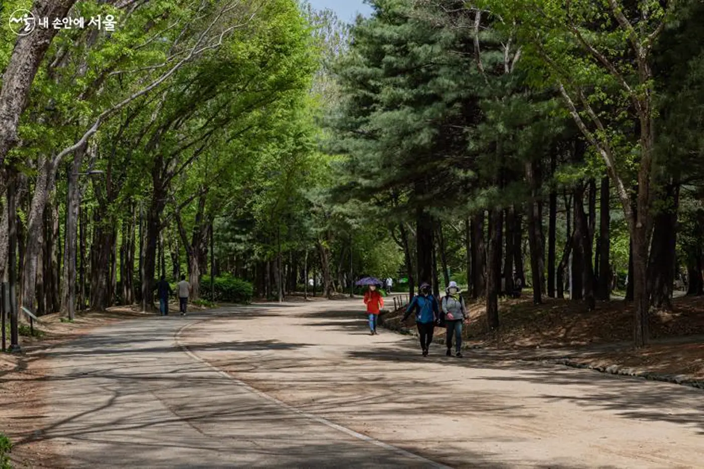 Seoul With Kids: Hongdae or Myeongdong?
