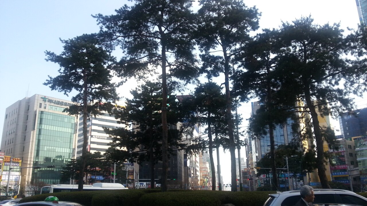 釜山西面路口與市區交通節點