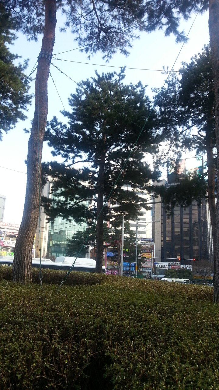釜山西面商業區街景
